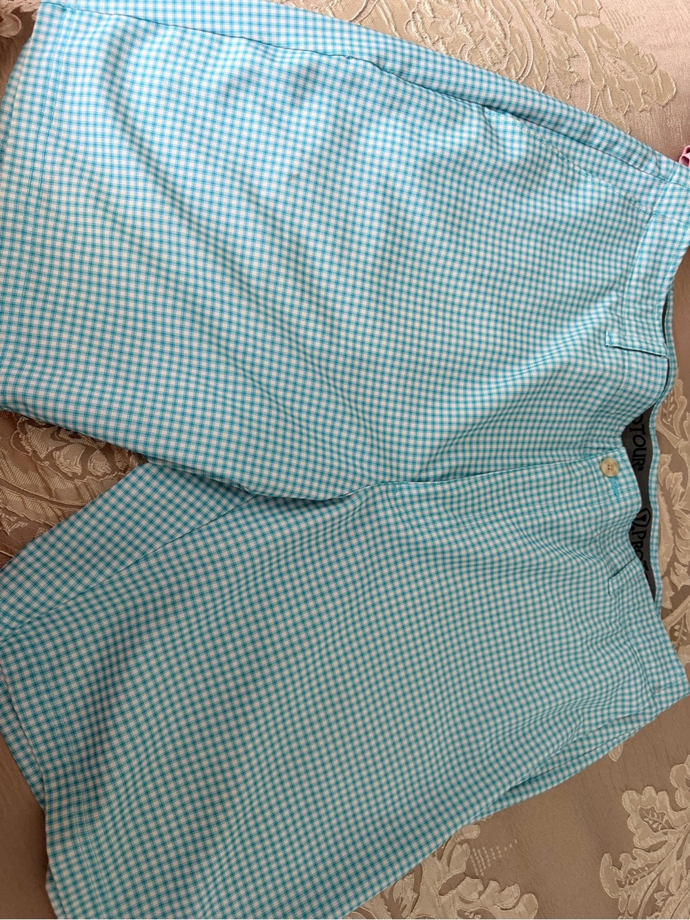 Men's Aqua Gingham Casual Shorts